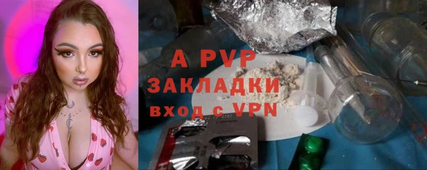 apvp Алзамай