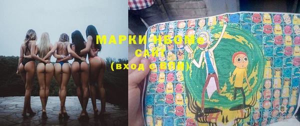 apvp Алзамай
